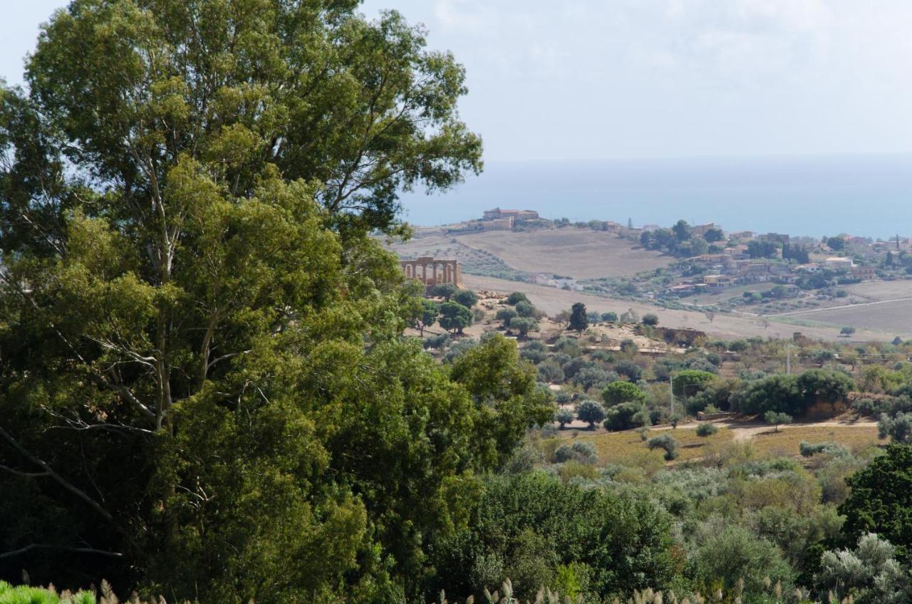 Panoramica Dei Templi B&B Agrigento Exterior foto
